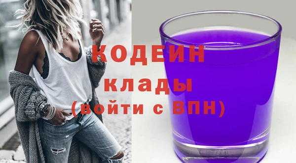прущий лед Арсеньев