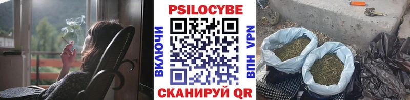 Галлюциногенные грибы ЛСД  Аркадак 